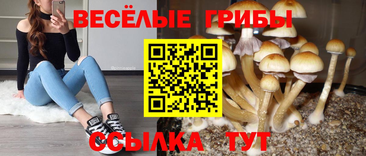 Галлюциногенные грибы Magic Shrooms Уварово
