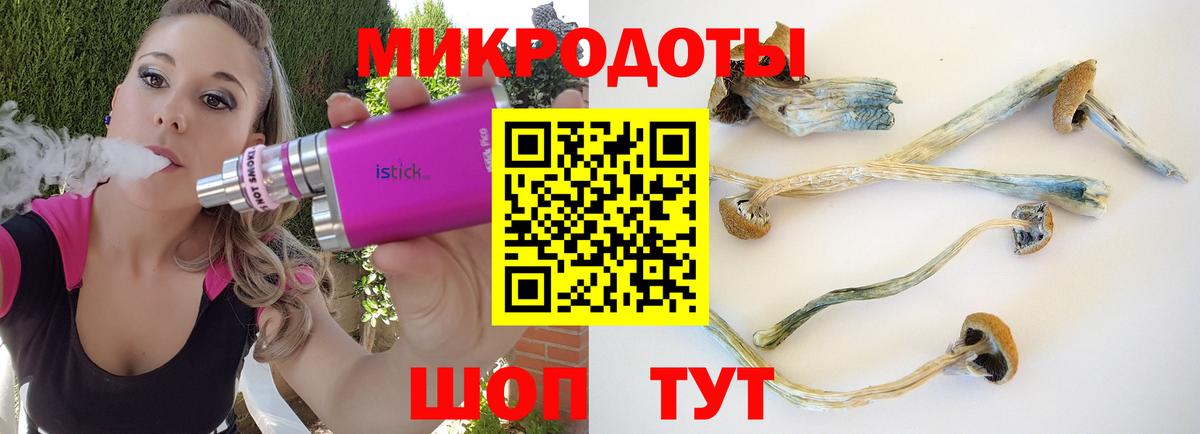 Псилоцибиновые грибы GOLDEN TEACHER  Псилоцибиновые грибы Psilocybe  Уварово  Вход с VPN 